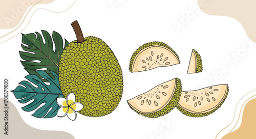 Exotic Jackfruit Illustration Featuring Leaves and Flower in Botanical Artistic Style