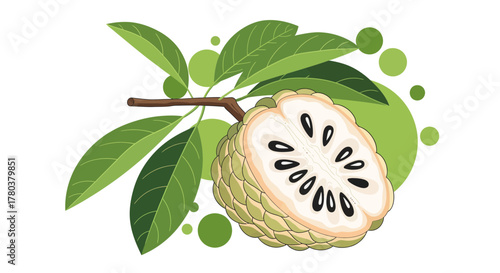 Exquisite Illustration of a Sliced Custard Apple Displaying the Creamy Texture