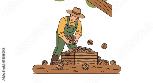 Farmer Harvesting Walnuts, Vector Illustration of Agricultural Worker and Seasonal Foods