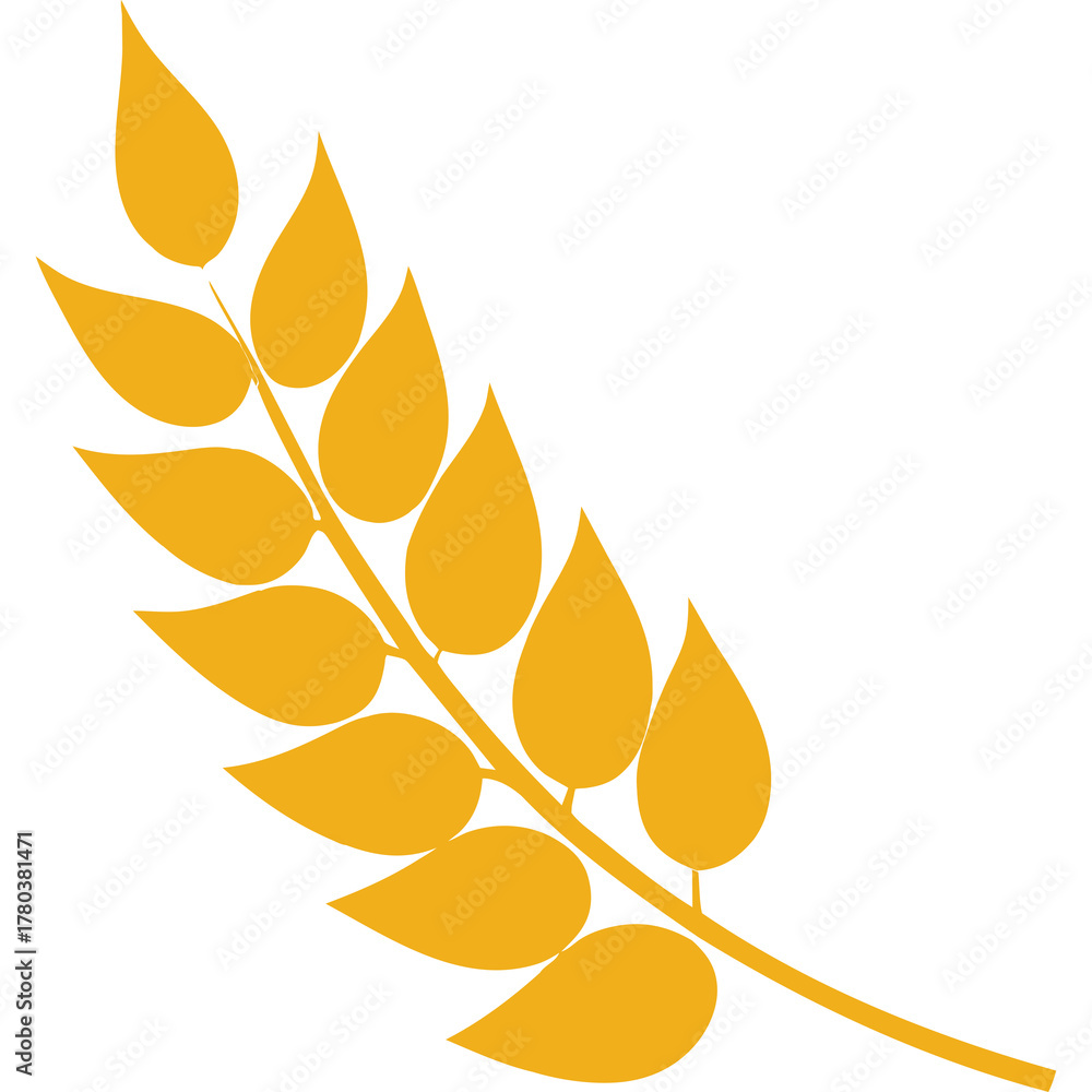 Naklejka premium Golden Wheat Stalk With Leaves On Transparent Background Agriculture Concept