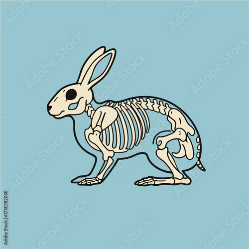 Simple Outline Mammal Bone Structure Graphic Concept on Blue Background for Biology Education
