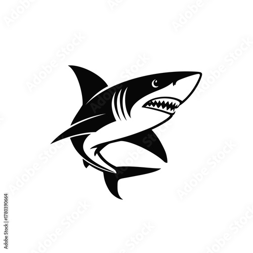 Shark vector. Angry fish
