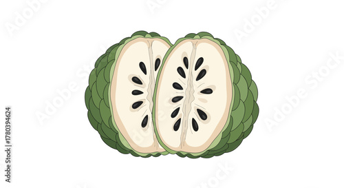 Freshly Sliced Custard Apple, Illustrative Image, Isolated on a White Background
