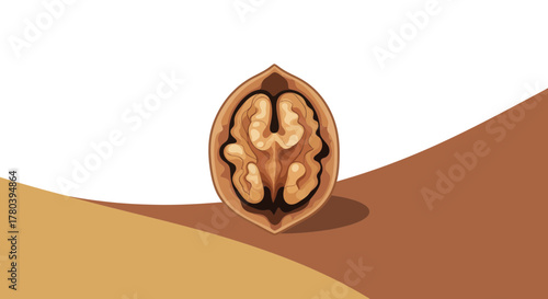 Freshly Open Walnut Inside its Shell With Soft Colors and a Modern Design