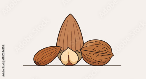 Freshly Illustrated Nut Assortment, Graphic Depiction of Dietary Essentials in Minimal Style