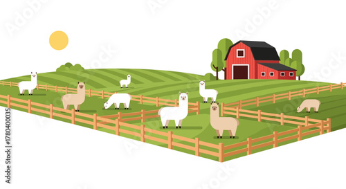 Herd of Alpacas Grazing in a Lush Green Pasture on a Sunny Day.