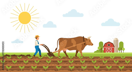 Farmer plowing field with ox agricultural work in progress sunny day.