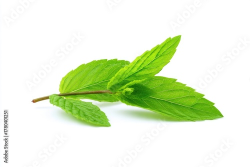 Fresh mint leaves, vibrant green, isolated against white