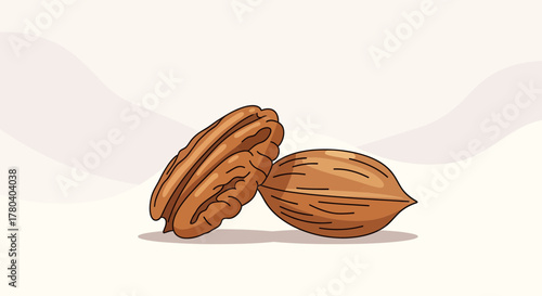 Healthy Pecan Nuts: Cartoon Illustration of Two Natural, Whole and Shelled Nuts
