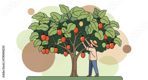 Harvesting Fruits: A Simple Illustration Of a Farmer Picking Ripe Harvest Fruits From a Tree