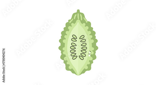 Illustration Of A Bitter Melon Cross Section With The Seeds Displayed Elegantly