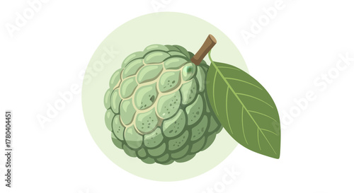 Illustration Of A Freshly Cultivated Custard Apple On A Soft Green Backdrop