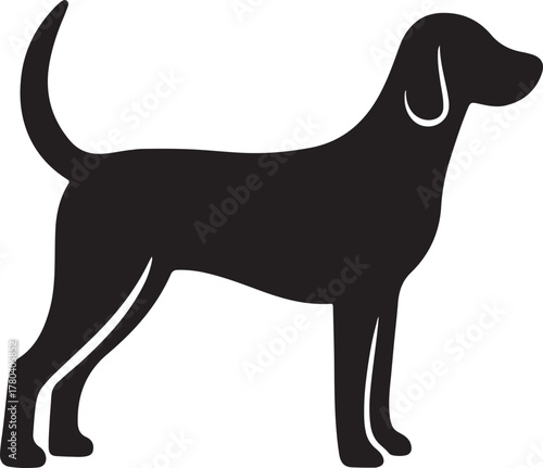 Abstract geometric design with bold color accents