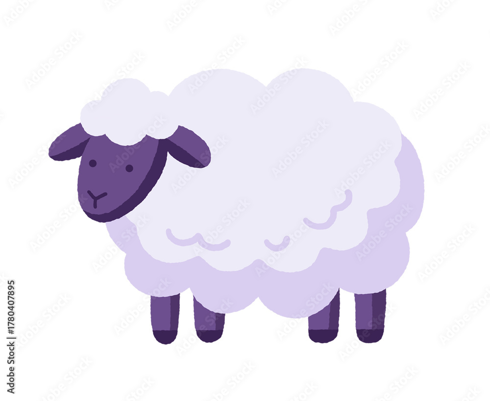 Obraz premium sheep