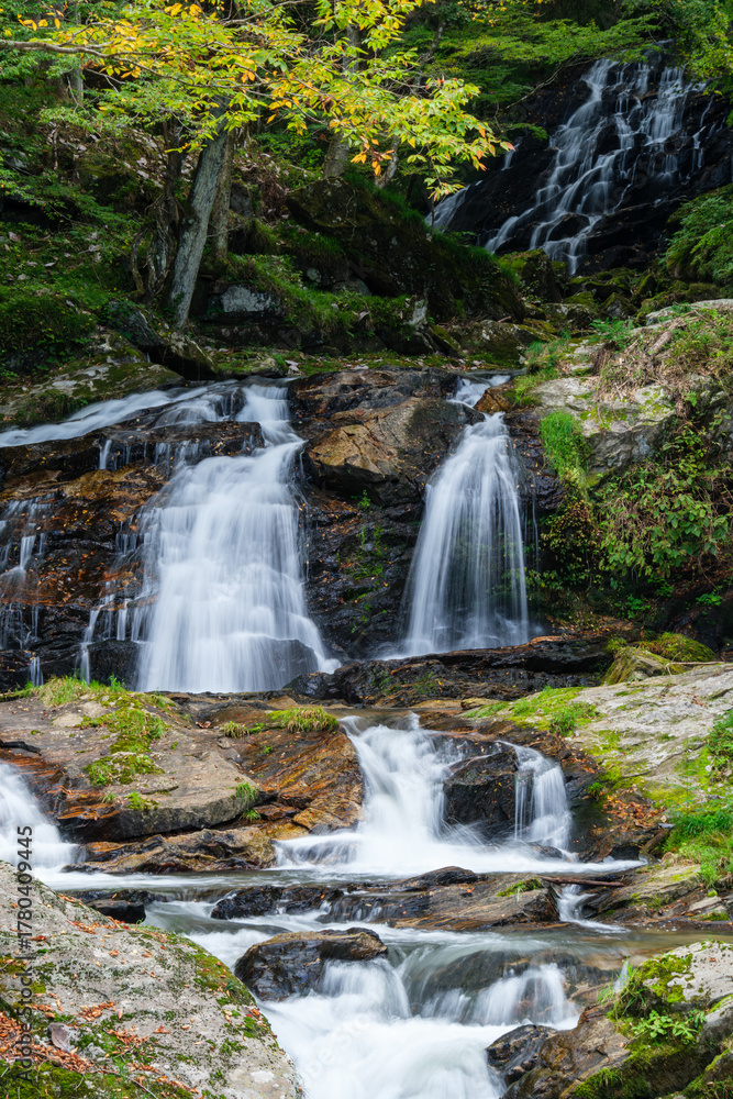 Fototapeta premium 滝の流れ