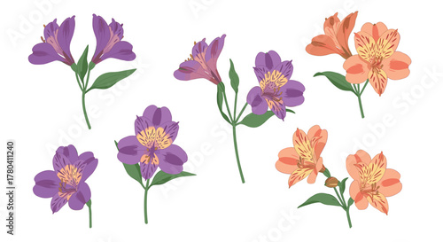 Colorful floral arrangement with alstroemeria flowers