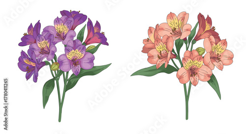 Colorful botanical floral art featuring purple and coral blooms