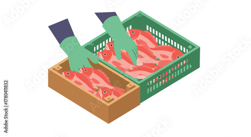 Isometric fish handling in crates sustainable seafood distribution concept