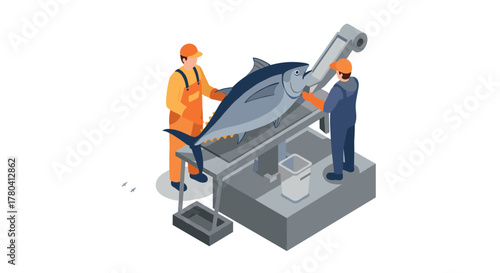 Fish processing workers on conveyor belt handling big tuna