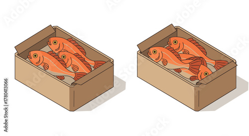 Isometric box of fresh fish in carton container on white background