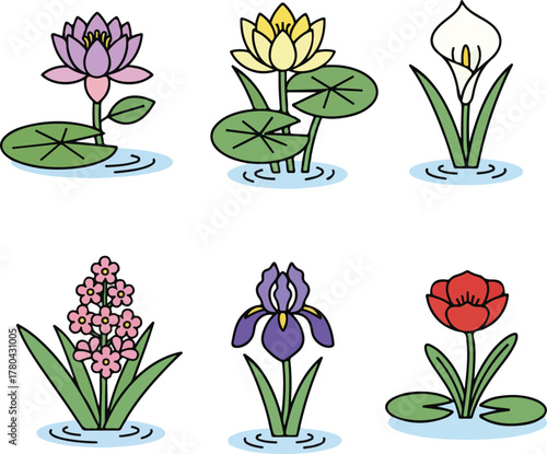 Water Flowers Simple Vector Collection