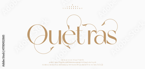 Elegant wedding alphabet letters font and number. Typography Luxury classic lettering serif fonts decorative vintage retro concept. vector illustration