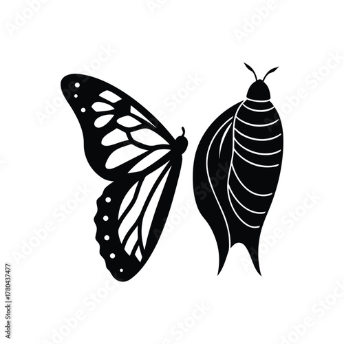 Butterfly Open Wing and Side View Silhouette Contrast Icon
