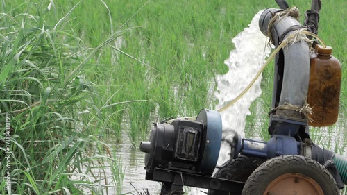Efficient Water Flow - A Sight of Irrigation System in Action