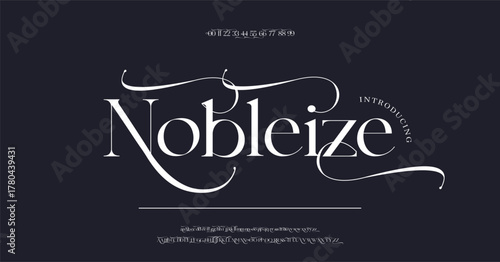 Luxury wedding alphabet letters font and number. Typography elegant classic lettering serif fonts decorative vintage retro concept. vector illustration