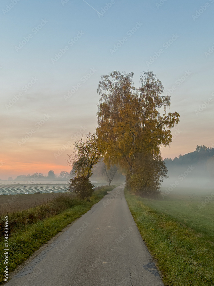 Fototapeta premium A beautiful autumn walk along the Bavarian foot paths before sunset phase 