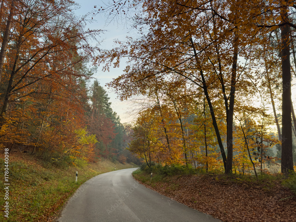 Obraz premium A beautiful autumn walk along the Bavarian foot paths before sunset phase 
