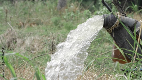 Fountain of Life - A Journey through the Heart of Nature's Symphony