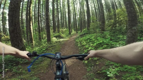 Mountain Biking Through Fern Forest Trail in Oregon