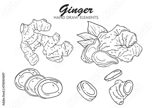 Hand-drawn illustration of ginger root, sliced ginger, and ginger with leaves, presented in a detailed black and white line art style.