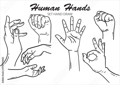 Line art illustration of various hand gestures, showcasing different positions and movements, hand drawn.