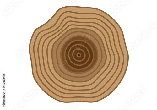 Anillos de tronco de madera en fondo blanco