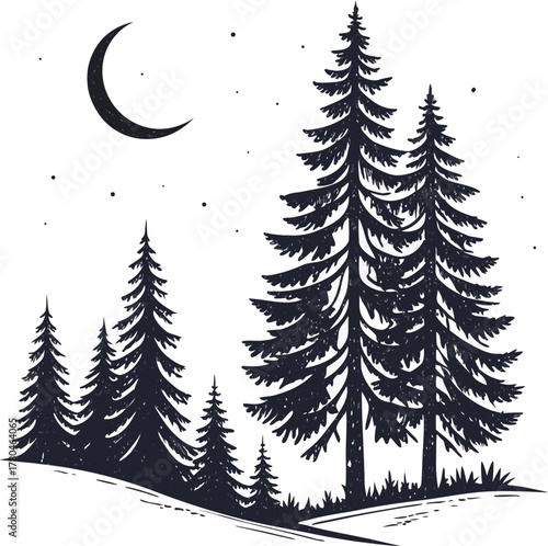 Mysterious moonlit pine forest night scene with dark evergreen trees isolated on transparent background