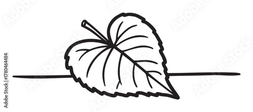 Black outline drawing of an intricate heart-shaped leaf resting on a horizontal line, showcasing detailed veins and jagged edges.