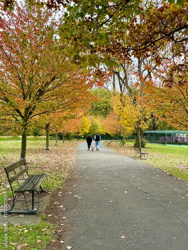 Unrecognisable couple walking their dog in the park with colourful orange and golden autumn leaves on the trees. Taken in a a park.