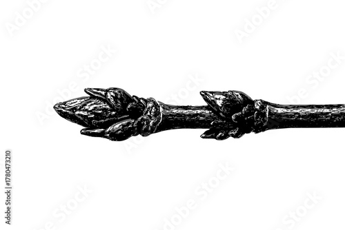 Ripples Nature: Twig's Tale | Clean, isolated vector art for creative projects.