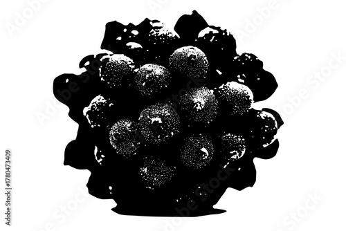 Bundle Black Mustard Seeds, Extremely Highly Detailed, Close | Clean, isolated vector art for creative projects.