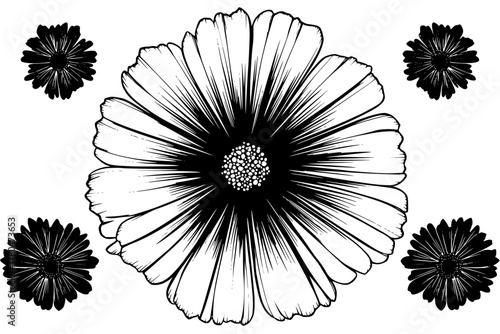 single large flat Daisy flower centered two smaller | Clean, isolated vector art for creative projects.