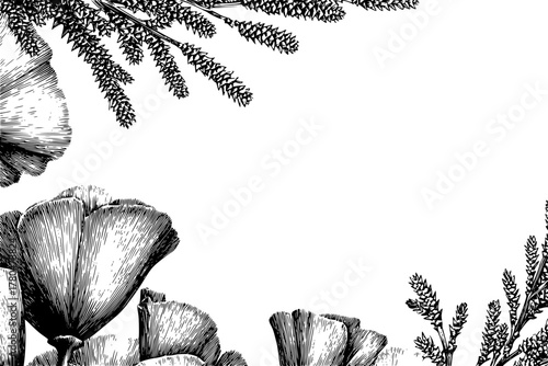Elegant floral black white | Clean, isolated vector art for creative projects.