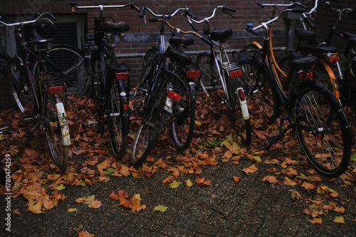 bikes in a street by yellow leaves on a rainy day
