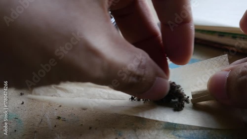 Hands Rolling Cannabis Joint with Ground Marijuana on Rolling Paper Close-up
