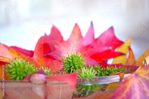 Still mit Herbstlaub