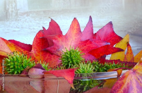 Still mit Herbstlaub