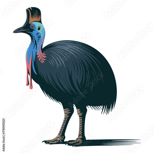 Cassowary