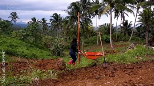 Woman pushing a wheelbarrow in the rural area. 