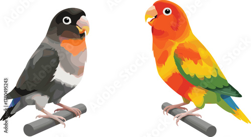 Colorful lovebird pair on perch, exotic tropical parrots illustration, vibrant orange and black parrot design for wildlife art